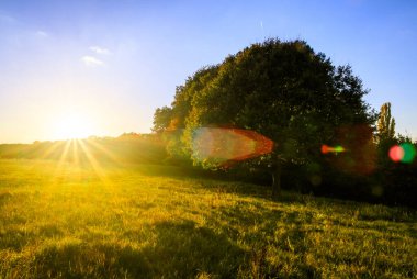 Tepelerden ve ağaçlardan yükselen güneşin manzarası