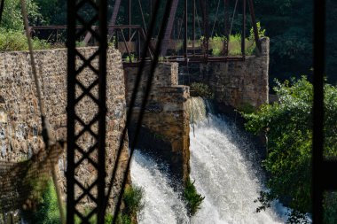 Baharın güneşli bir gününde ormanda bir şelale.
