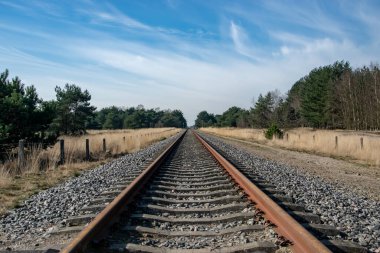 Metal bir demiryolu hattının alçak açılı bir görüntüsü. Üzerinde ağaçlar ve mavi güneşli bir gökyüzü var.