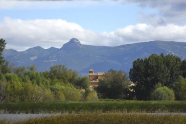 Ağaçların manzarası ve arka planda küçük kahverengi bir bina ve bulutlu bir gökyüzü.