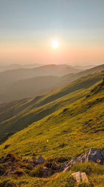 Gün batımında parlak yeşil kırsal tepelerin dikey görüntüsü