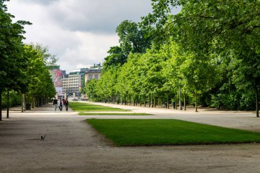 Parkta yürüyen insanlar. Brüksel, Belçika, Avrupa