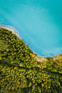 Turkuaz mavi bir denizle yeşil ormandan geçen yolu dikey bir drone görüntüsü.