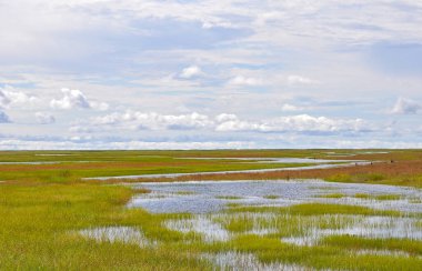 Zambiya, Afrika 'daki Luapula Nehri üzerinde güzel bir manzara.