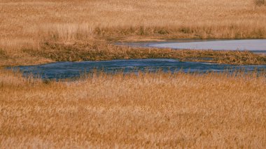 Mavi su birikintileriyle kahverengi bataklık.