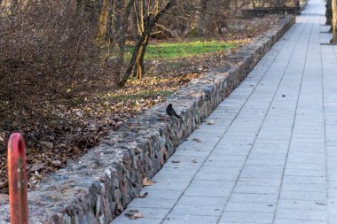 Litvanya, Kaunas 'ta bir parkta yol