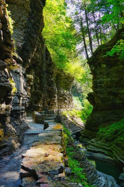 New York 'taki Watkins Glen Eyalet Parkı' nda dikey nefes kesici bir manzara.