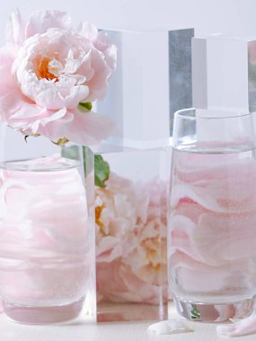 Beyaz arka planda cam bir vazoda güzel pembe şakayık çiçeklerinin dikey çekimi.