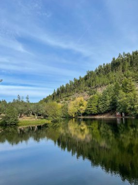 Yüzeyde ağaçların ve gökyüzünün yansımalarıyla sakin bir gölün doğal görüntüsü.