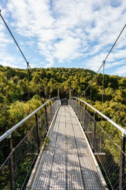 Yeni Zelanda Egmont Ulusal Parkı 'ndaki bir köprünün dikey görüntüsü.