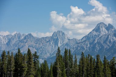 Dağların manzaralı manzarası, yamaçta orman ve karla kaplı.