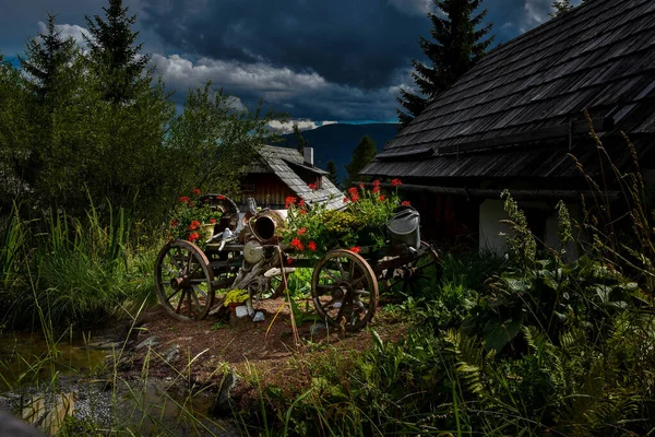 Une Vue Panoramique Vieux Chariot Bois Avec Des Fleurs Dans — Photo