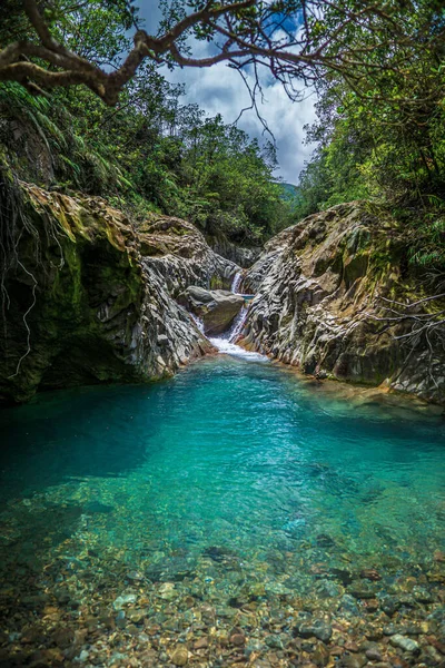 Tiro Vertical Riacho Fluindo Bonito Bajos Del Toro Costa Rica — Fotografia de Stock