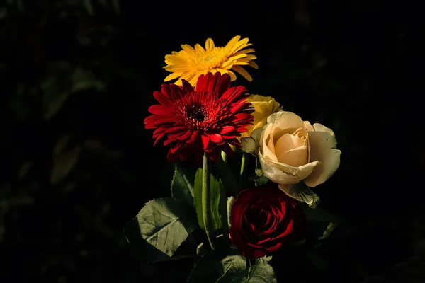 Gros Plan Bouquet Fleurs Colorées Isolées Sur Fond Noir — Photo