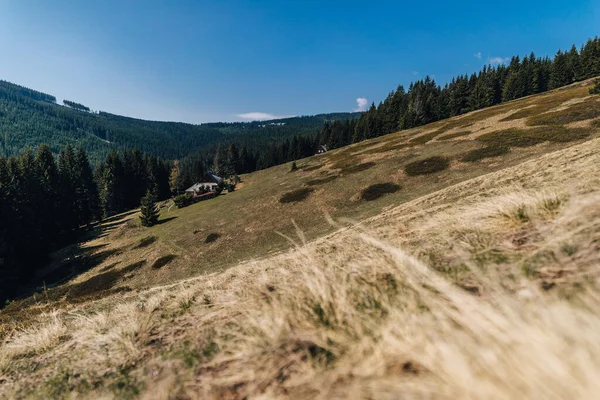 チェコ共和国クルコノセ国立公園の伝統的な山小屋 高い山の牧草地や巨人山脈 ボヘミアの伝統的な木造住宅 — ストック写真