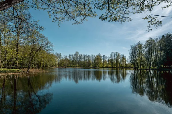 Krásná Krajina Pohled Jezero Stromů Viditelnými Odrazy Vodní Hladině Proti — Stock fotografie