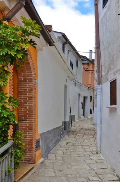 Een Smalle Straat Tussen Huizen Van Ailano Een Dorp Provincie — Stockfoto