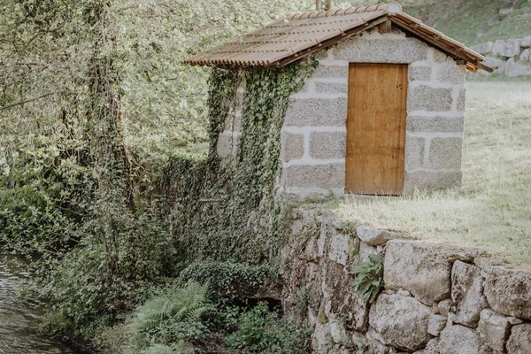 Mały Stary Kamienny Budynek Drewnianymi Drzwiami Pokrytymi Zieloną Rośliną Brzegu — Zdjęcie stockowe