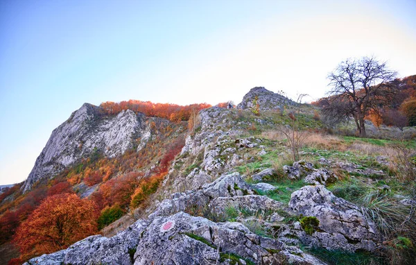 Primer Plano Las Montañas Cárpatos Contra Cielo Azul Rumania —  Fotos de Stock