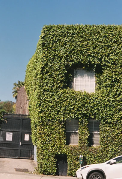 Building Covered Greenery Los Angeles California Usa — Stock Photo, Image