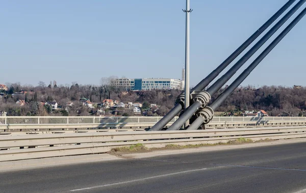 Kabel Liberty Bridge Över Floden Donau Staden Novi Sad Serbien — Stockfoto