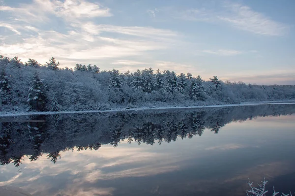 Sakin bir göle yansıyan karlı ağaçlar.