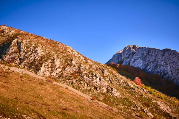 Eine Nahaufnahme Der Karpaten Vor Blauem Himmel Rumänien — Stockfoto