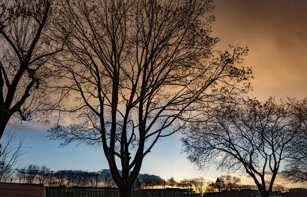 Una Silueta Árboles Desnudos Campo Durante Una Hermosa Puesta Sol — Foto de Stock