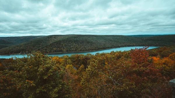 Vista Del Río Largo Del Bosque —  Fotos de Stock