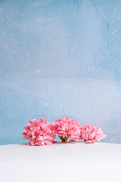 Primer Plano Vertical Flores Rosadas Sobre Una Mesa Sobre Fondo — Foto de Stock