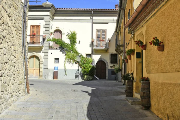 石で舗装された花で飾られた狭い古い通り Castelmezzanoイタリアのバジリカータ地方の村 — ストック写真