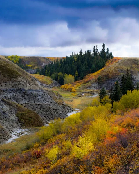 Vertical Shot Beautiful Wild Landscape Autumn Colors — Stock Photo, Image