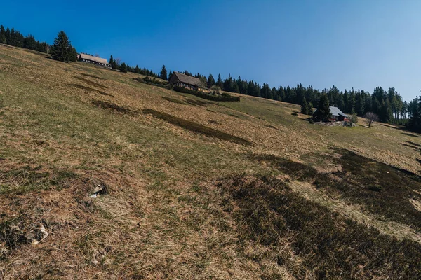 Cabañas Montaña Tradicionales Del Parque Nacional Krkonose República Checa Pradera — Foto de Stock
