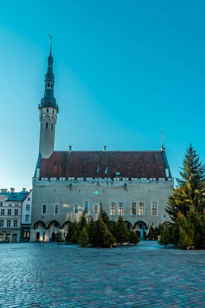 Tallinn Deki Ortaçağ Belediye Binasının Dikey Görüntüsü — Stok fotoğraf