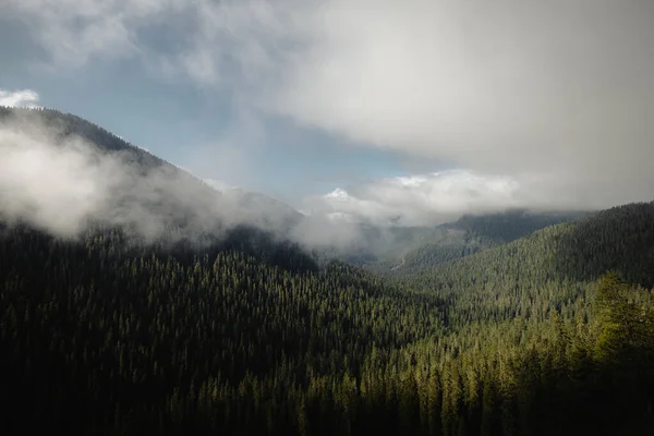 Nevoeiro Desce Gradualmente Das Montanhas Absorvendo Floresta Verde — Fotografia de Stock