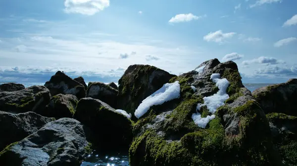 Hollanda Bulutlu Arka Planda Yosun Kaplı Kayaların Manzarası — Stok fotoğraf