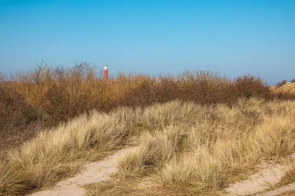 Ett Landskap Fyr Texel Norra Texel Nederländerna — Stockfoto