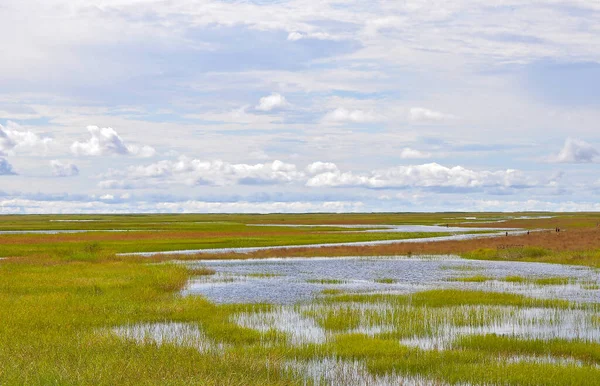 Zambiya, Afrika 'daki Luapula Nehri üzerinde güzel bir manzara.