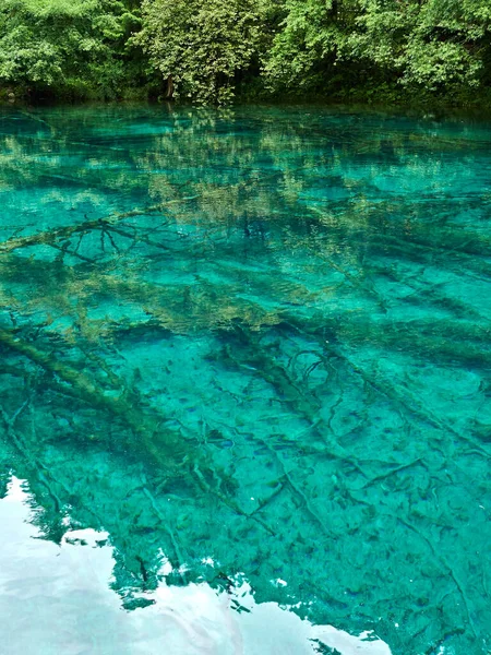 Lago Tranquilo Con Reflejo Árboles Verdes —  Fotos de Stock