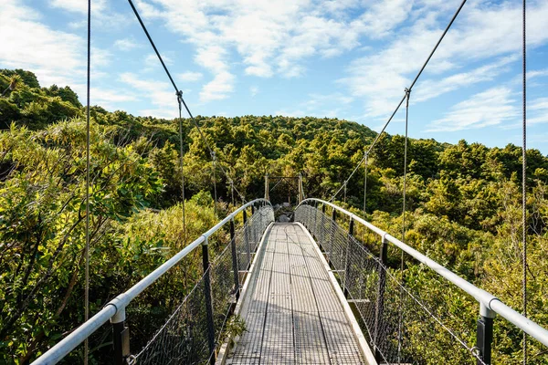Uma Vista Natural Uma Ponte Aço Parque Nacional Egmont Nova — Fotografia de Stock