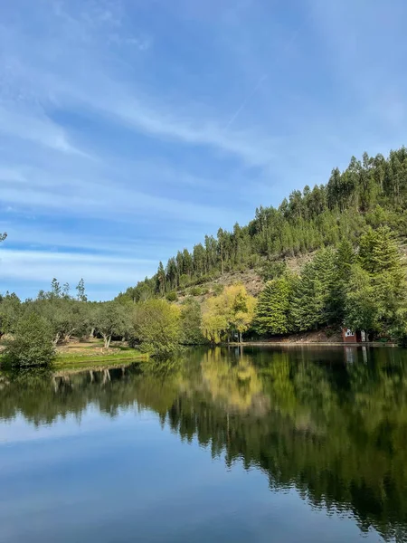 Yüzeyde ağaçların ve gökyüzünün yansımalarıyla sakin bir gölün doğal görüntüsü.