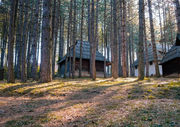 Casas Antigas Entre Árvores Floresta Outono — Fotografia de Stock