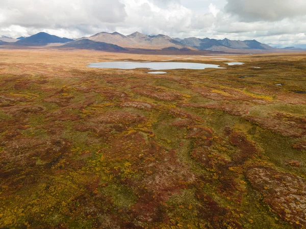 Μια Εναέρια Άποψη Μιας Μικρής Λίμνης Αλάσκα Σειρά Χρώματα Φθινόπωρο — Φωτογραφία Αρχείου