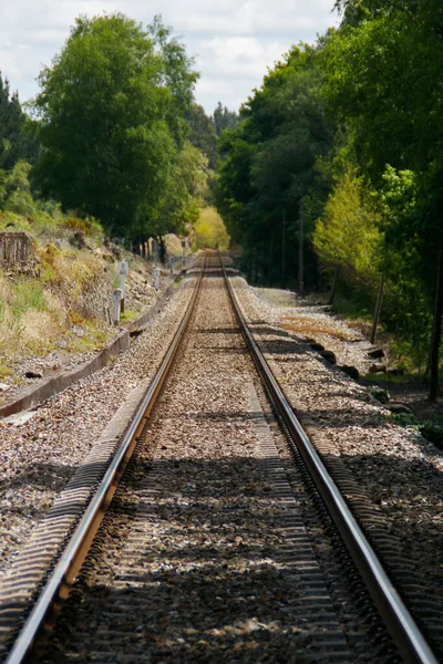 Nahaufnahme Einer Langen Eisenbahnstrecke Einem Wald Umgeben Von Grünen Bäumen — Stockfoto