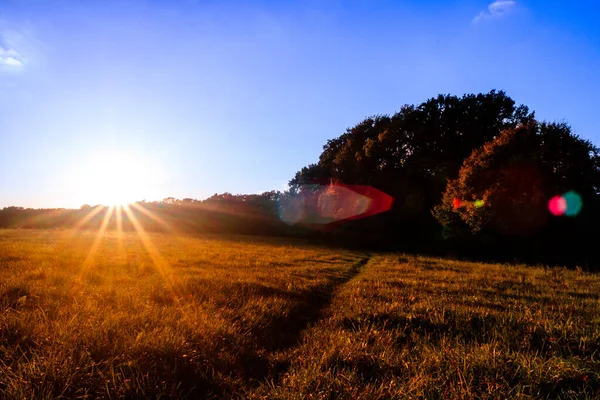 Una Vista Panorámica Puesta Sol Brillante Que Brilla Sobre Campo — Foto de Stock