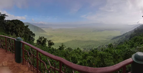 Een Panoramisch Uitzicht Vanaf Het Balkon Van Een Groot Groen — Stockfoto