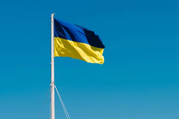 Ukrán Zászló Kék Hátterében — Stock Fotó
