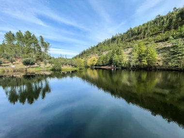 Yüzeyde ağaçların ve gökyüzünün yansımalarıyla sakin bir gölün doğal görüntüsü.