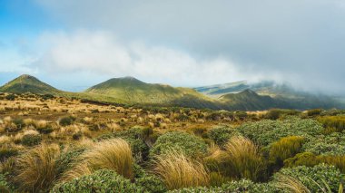 Yeni Zelanda 'daki Egmont Ulusal Parkı' nın güzel bir manzarası.