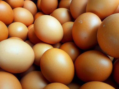 Bir yığın taze çiftlik tavuğu yumurtası.